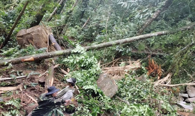 Vừa xảy ra đ:ộng đ::ất ở Quảng Nam, Kon Tum