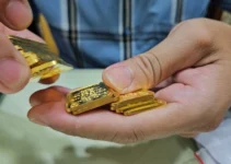 Gi:á vàng hôm nay GIẢM MẠNH, người mua tích trữ chỉ biết khóc