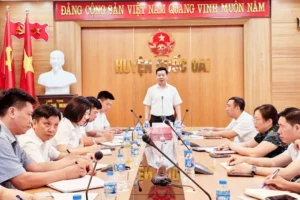 Tạm dừng công tác nhiều chủ tịch UBND xã