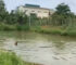 Hai ch:::::áu nh:::ỏ ch:::::ết đ::::uối thương tâm dưới hồ nước tưới cà phê