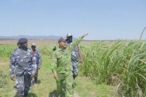 C:ảnh s:át Angola bất ngờ kiểm tra trang trại của Quang Linh Vlogs