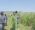 C:ảnh s:át Angola bất ngờ kiểm tra trang trại của Quang Linh Vlogs