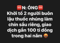 Tóm tắt vụ án buôn lậu thuốc nhúng chín sầu riêng trị giá gần 100 tỉ đồng