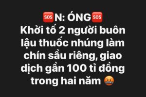 Tóm tắt vụ án buôn lậu thuốc nhúng chín sầu riêng trị giá gần 100 tỉ đồng