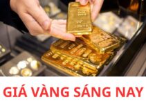 Giá vàng sáng nay 19/5: Mở cửa phiên đầu tuần mà não nề quá, giá này chỉ ai đang chờ mua vàng mới vui còn ai đang ôm đu đỉnh thì chỉ còn biết niệm phật