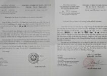 Diễn biến sự việc có dấu hiệu “livestream bán hàng phá giá”: Thứ trưởng Bộ Công Thương có chỉ đạo