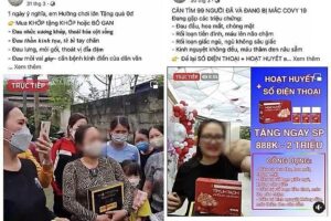 Hoàng Hường phải trả giá rồi, quá là hả hê luôn!