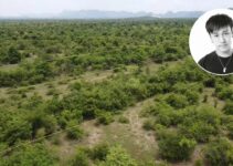 Sốc: Phát hiện thi thể sao nam nổi tiếng trong rừng, 2 tay bị trói chặt