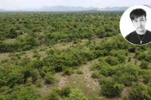 Sốc: Phát hiện thi thể sao nam nổi tiếng trong rừng, 2 tay bị trói chặt