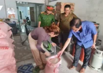 Hậu Giang: Người dân phát hiện gạo bán trên thị trường có dấu hiệu bất thường
