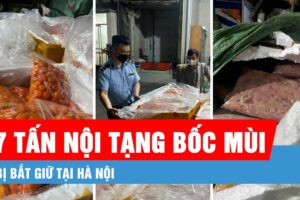 Hà Nội: Phát hiện 7 tấn trứng non, nầm lợn chuẩn bị tuồn ra thị trường, đặc biệt là…