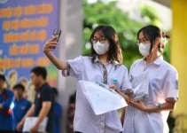 Công khai TOP 4 ngành học được miễn 100% học phí trong năm 2025: Riêng số 1 “bỏ túi” thêm 3,63 triệu/tháng