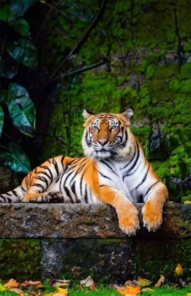 Con số may mắn tài lộc ngày 27/1/2026 của 12 con giáp