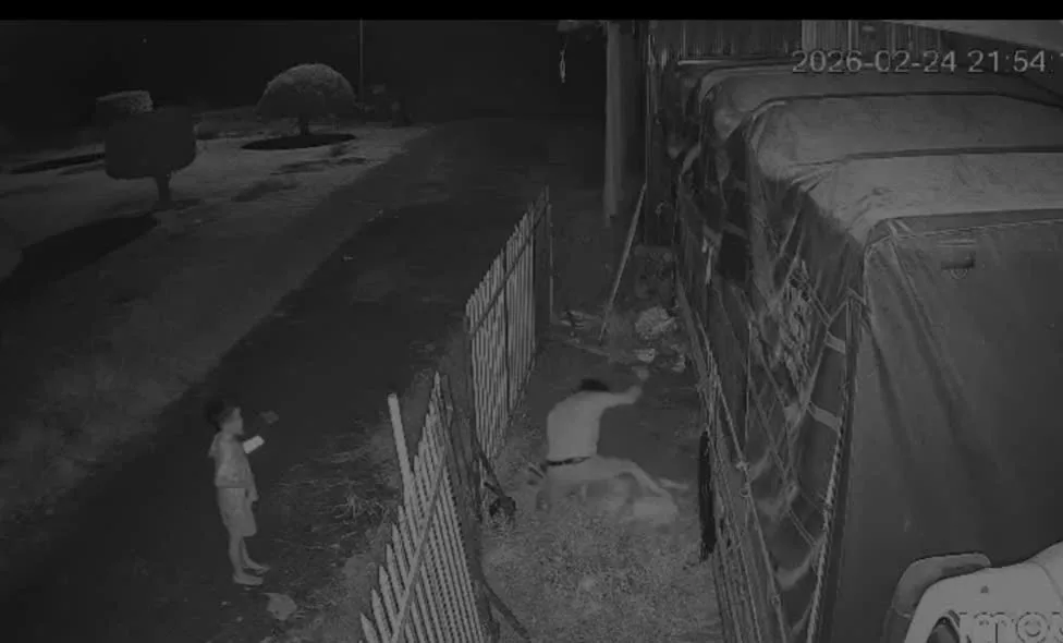 Đồɴɢ ᴛʜáᴘ: ᴠụ ᴄʜồɴɢ đâᴍ ᴠợ ᴛʀướᴄ ᴍặᴛ ᴄᴏɴ ɴʜỏ ɢâʏ ᴘʜẫɴ ɴộ xã ʜộɪ