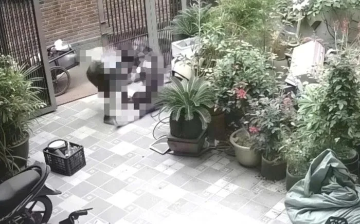 Nguyên nhân vụ chồng túm tóc, kéo lê vợ từ cổng vào nhà, hành hung trước mặt con nhỏ