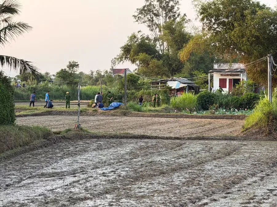 Xe bán tải giữa bãi đất trống