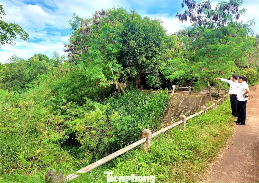 Kỳ lạ kênh xây xong bỏ hoang, nay xin 50 tỷ đồng để lấp