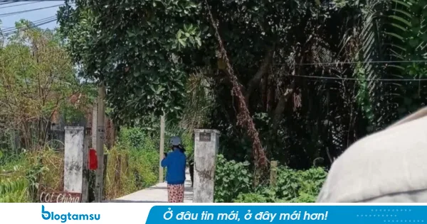 Thông tin mới nhất vụ án m.ạng khiến hai mẹ con tuvong ở Tây Ninh