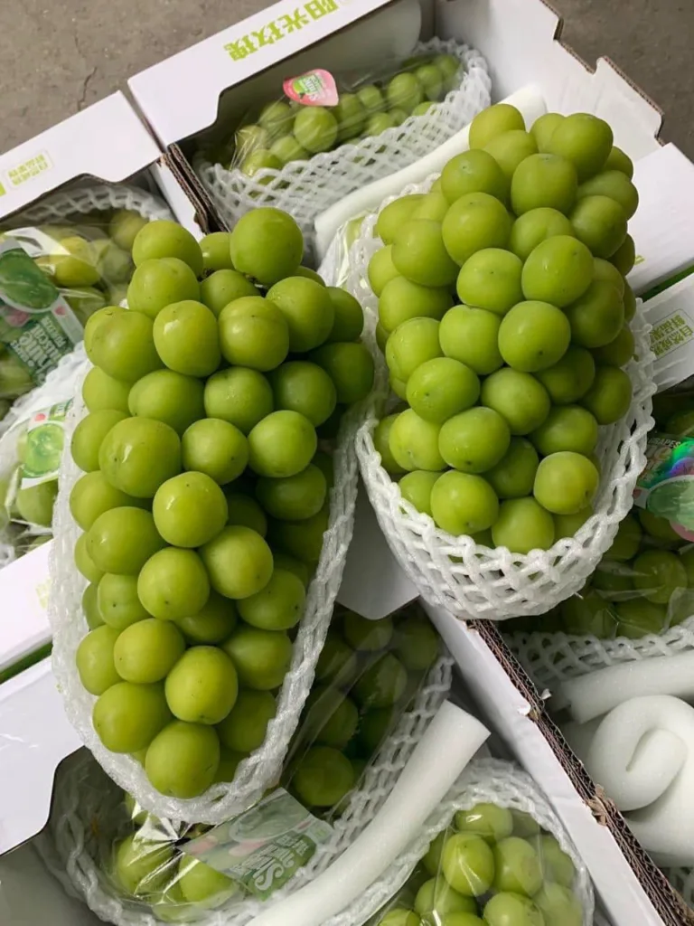 Giật mình nho ‘quý tộc’
